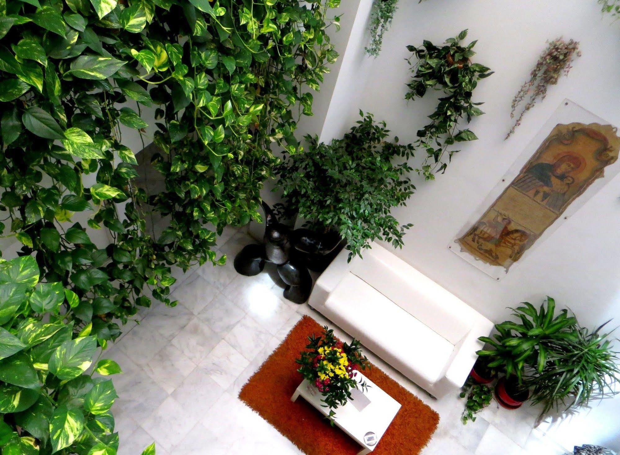 Un Patio Al Sur Hotel Seville