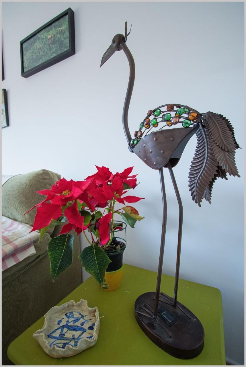 Casa De Pajaros Apartment