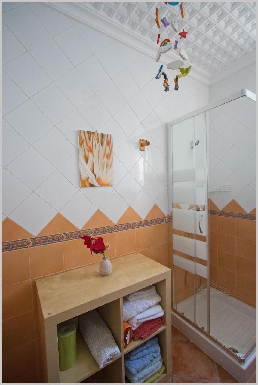 Casa De Pajaros