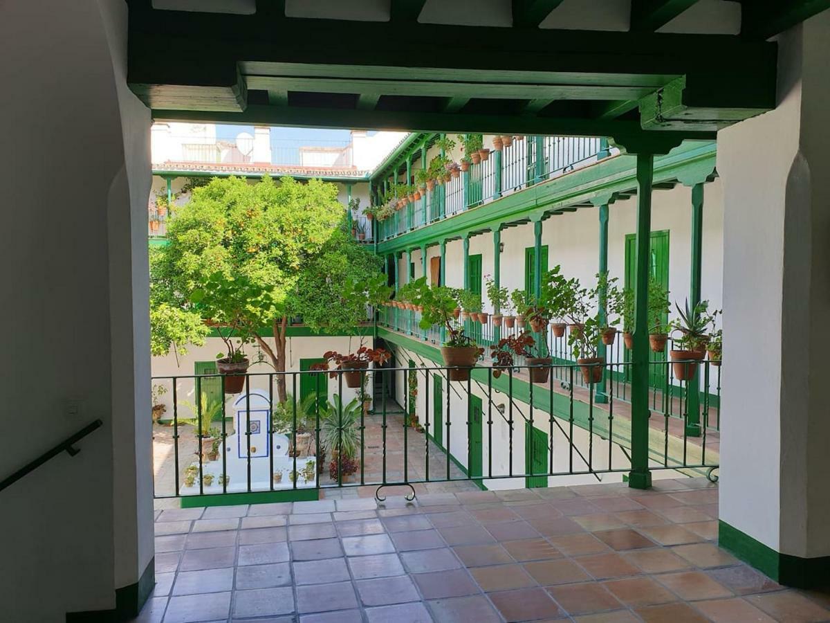 Setas Apartment *