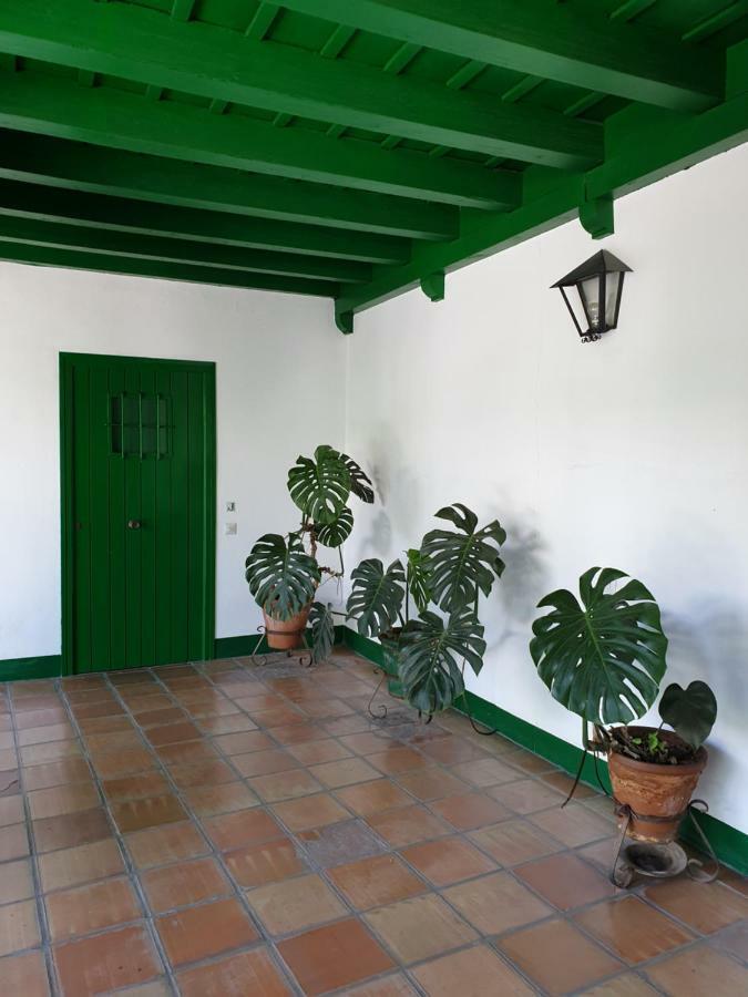 Apartment Setas *