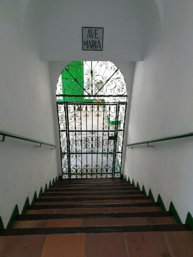 Setas Apartment *