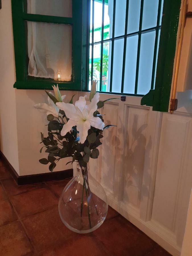 Setas Apartment