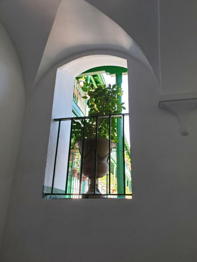 Apartment Setas