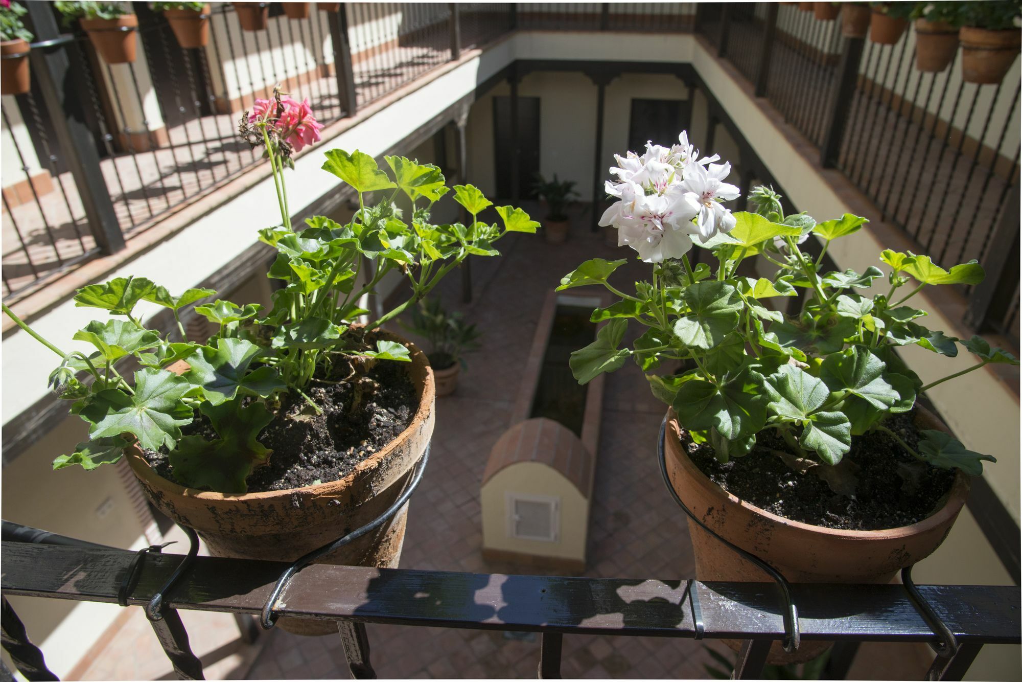 Patio De La Cartuja Seville