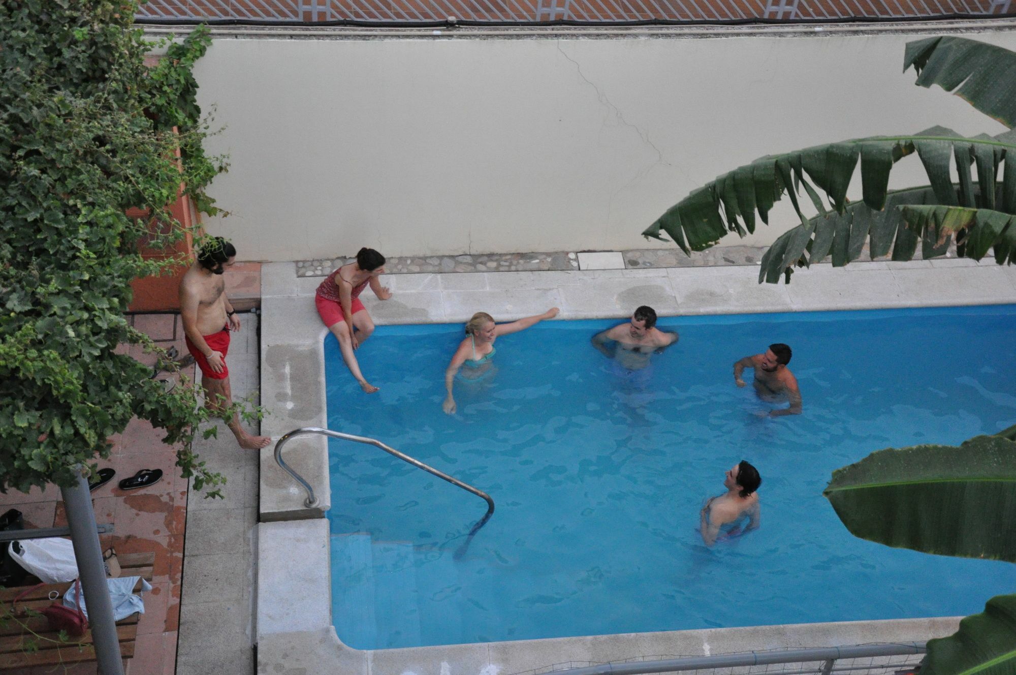 Hostel Lemon Garden