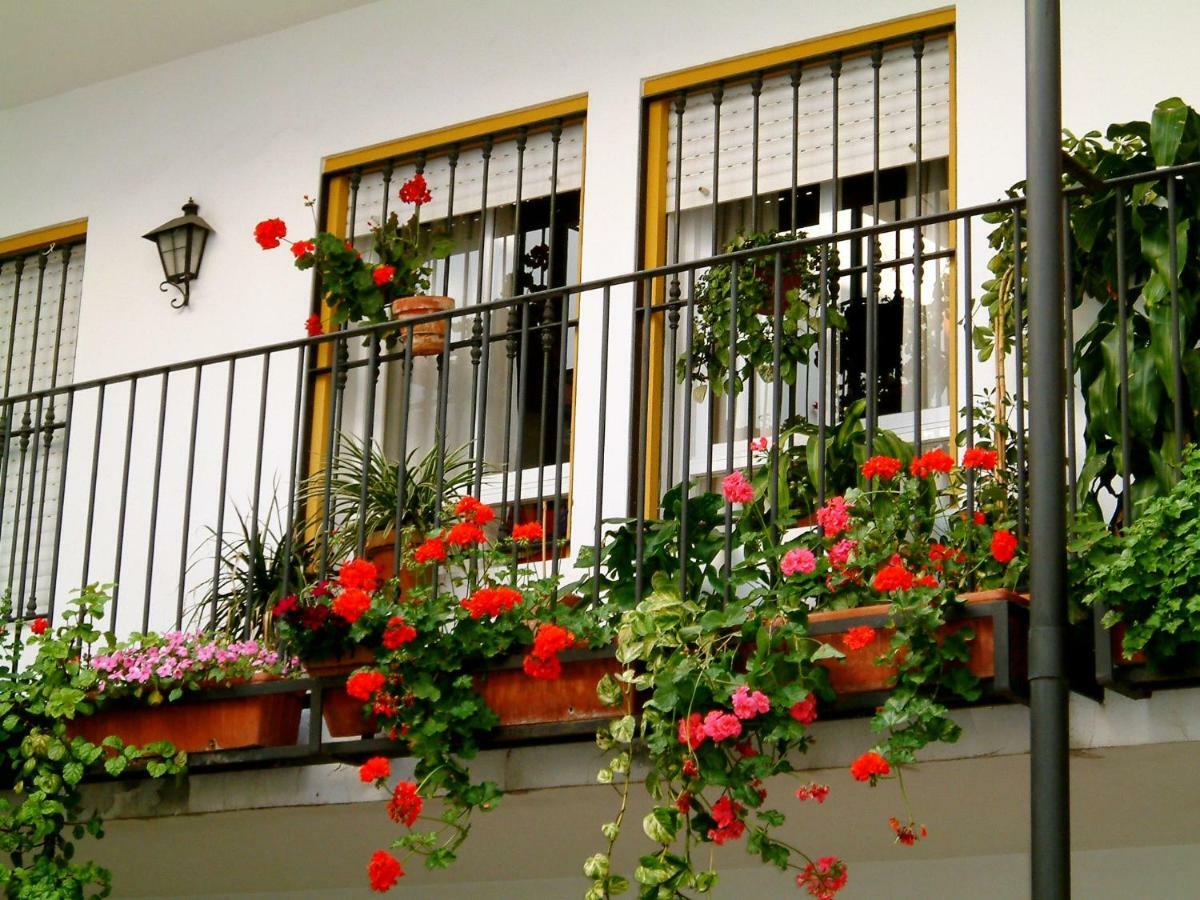 Rentalsevilla San Clemente * Seville