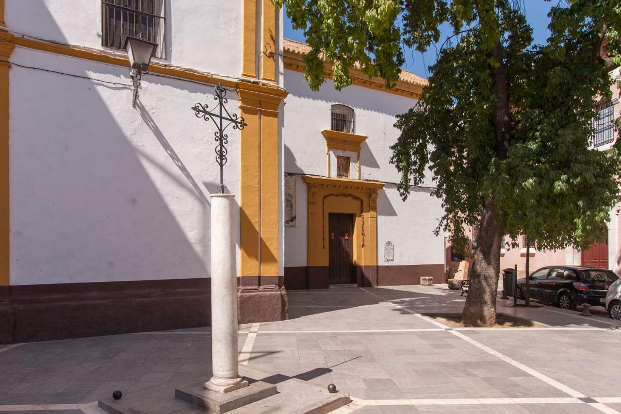 Apartment Casa De Tintes