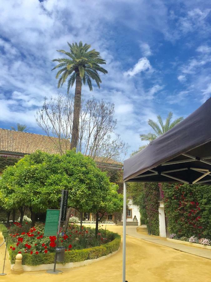 Apartment Dona Maria Coronel *