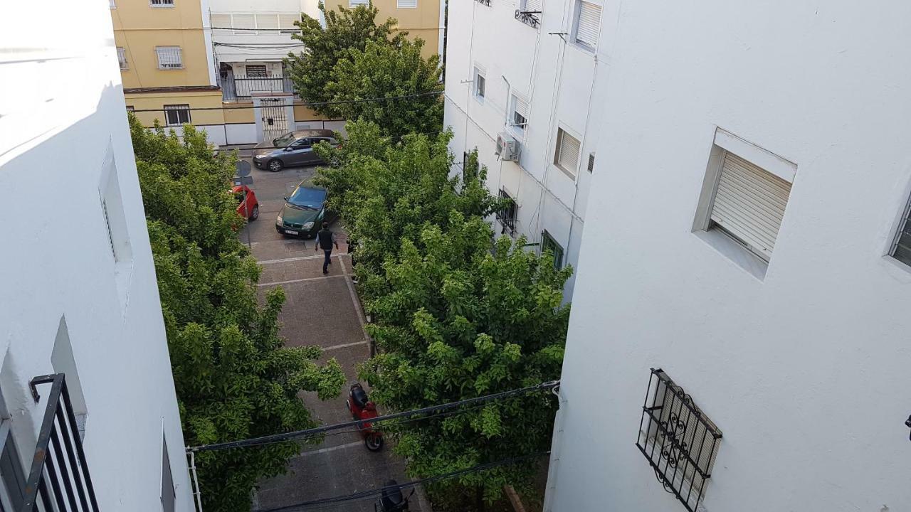 Acogedor En El Barrio Del Parlamento De Andalucia Apartment