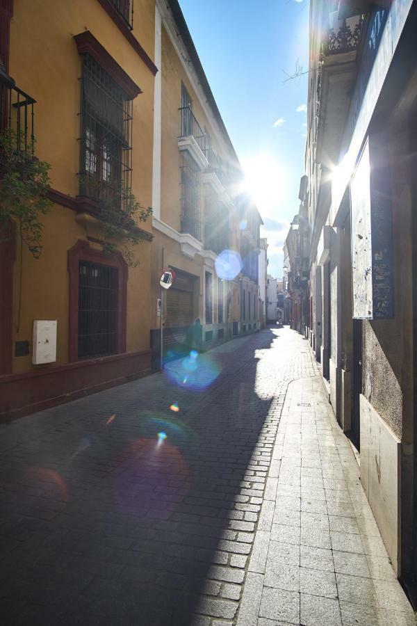 Ohliving Cathedral Seville