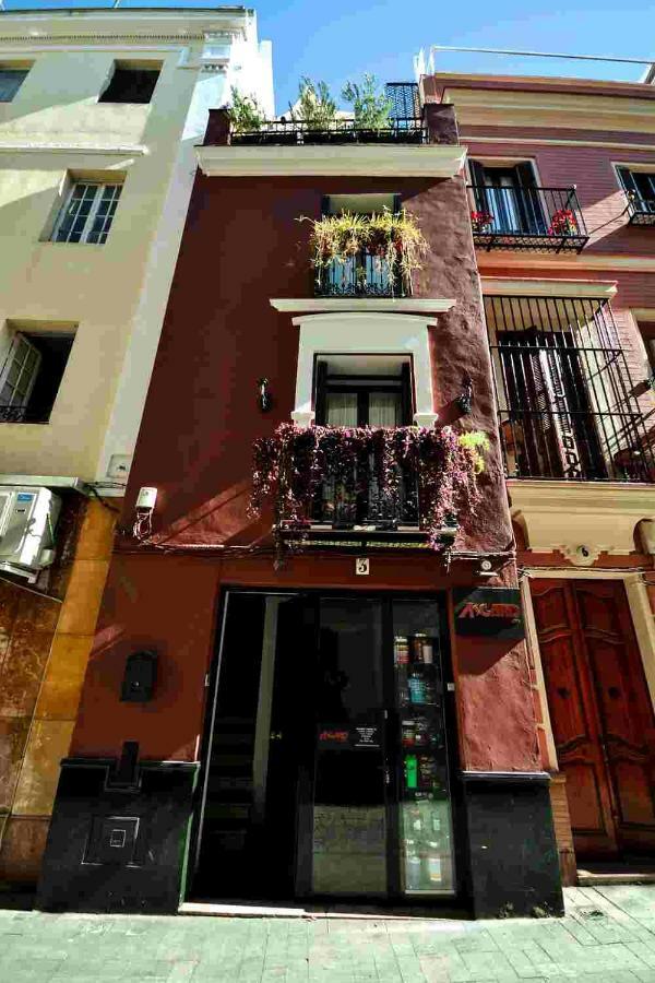 Casa Alfalfa 2 Terraza Y Solarium Privado Apartment *