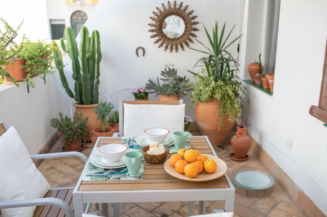 Cosy With Terrace In The Centre Of * Seville