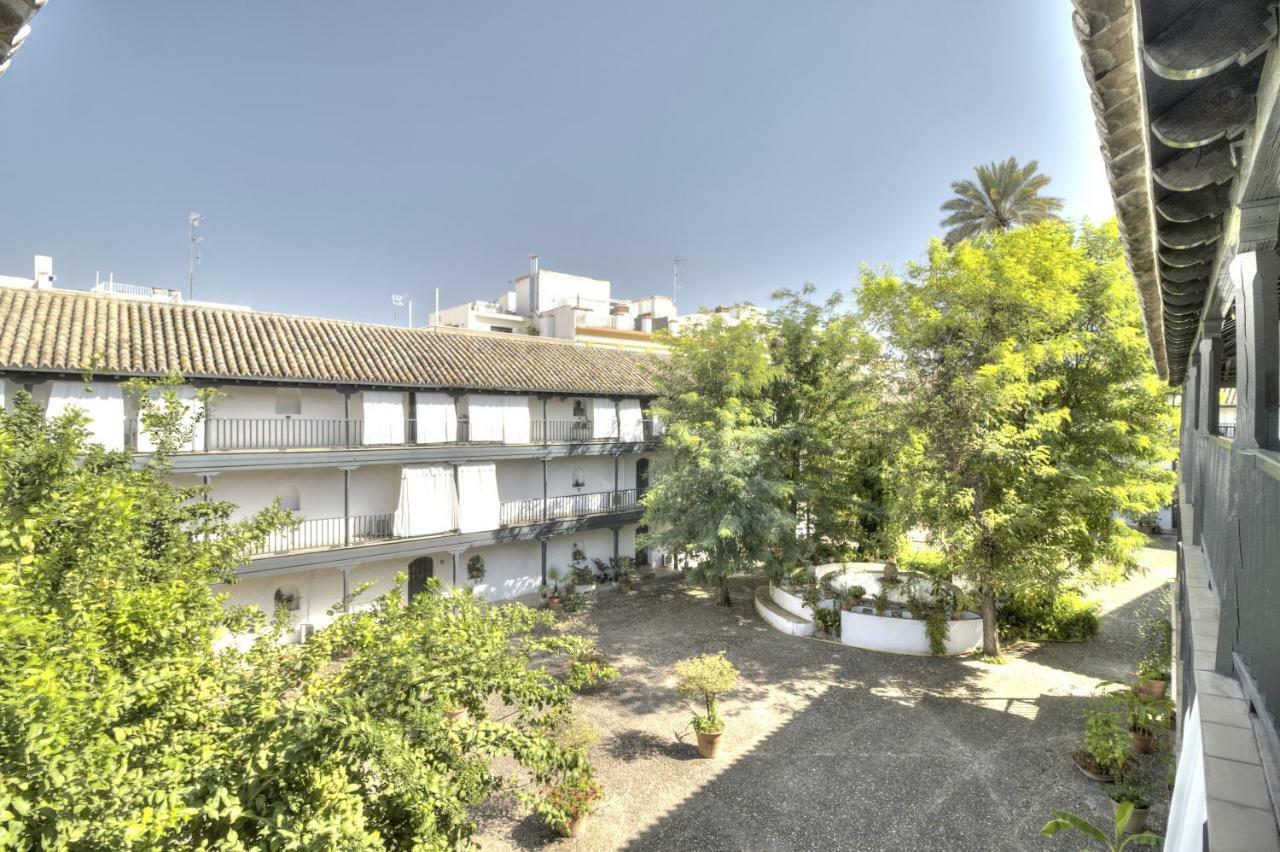 Un Oasis En El Corazon De Apartment