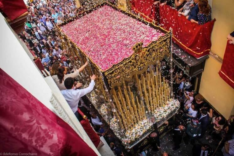 Bajo Gerona Seville