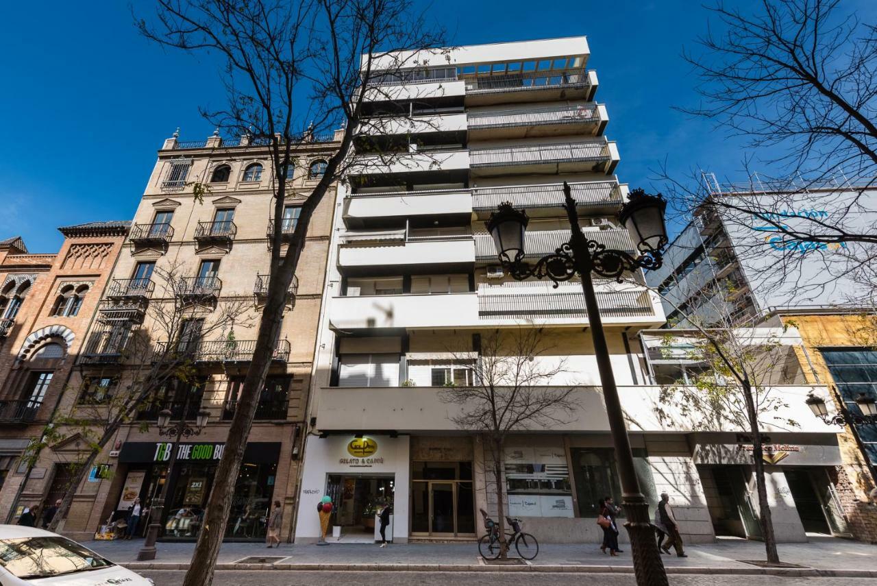 Loft Campana Ii Donkey Apartment