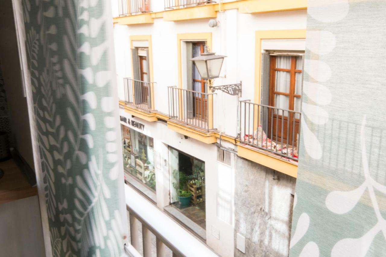 Apartment Piso Plaza Del Duque *