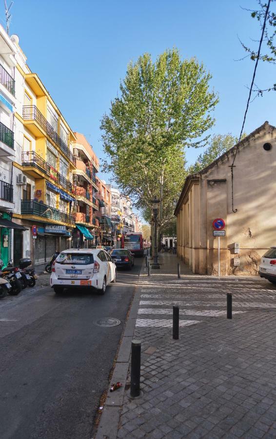 Apartamento Reposo Alameda De Hércules Free Parking Apartamento *