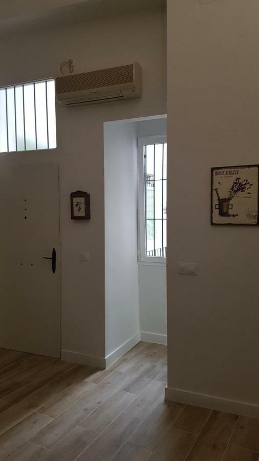 Luxury In Triana Close To The River Apartment