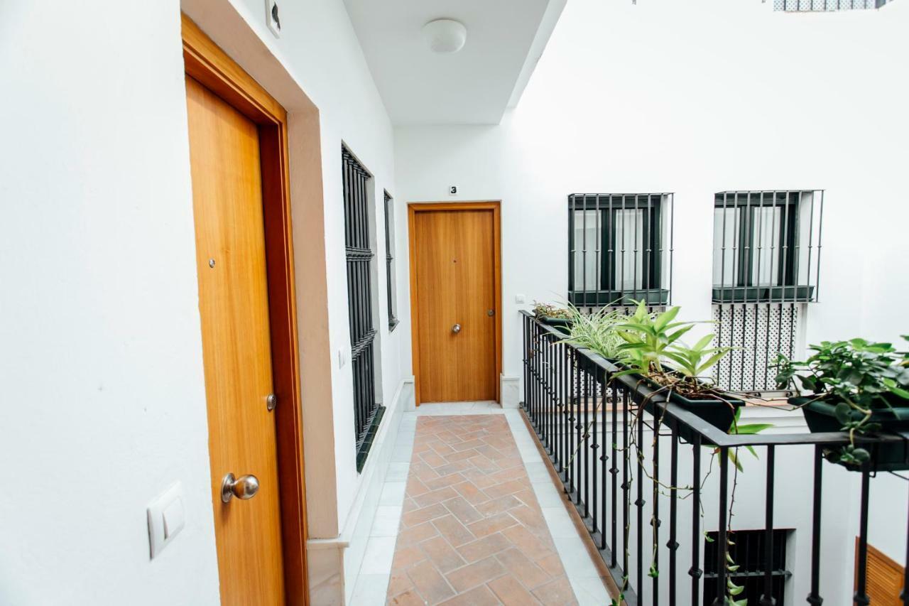 Bright Duplex W/ Terrace Apartment Seville