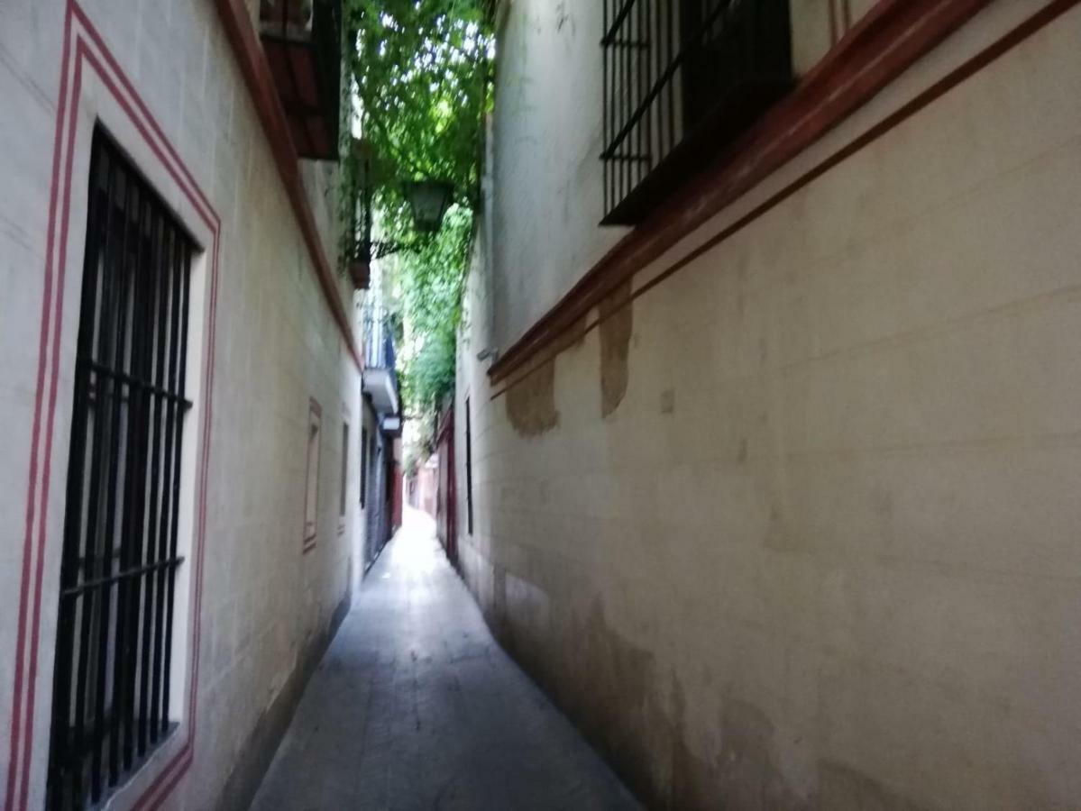 En La Juderia De *