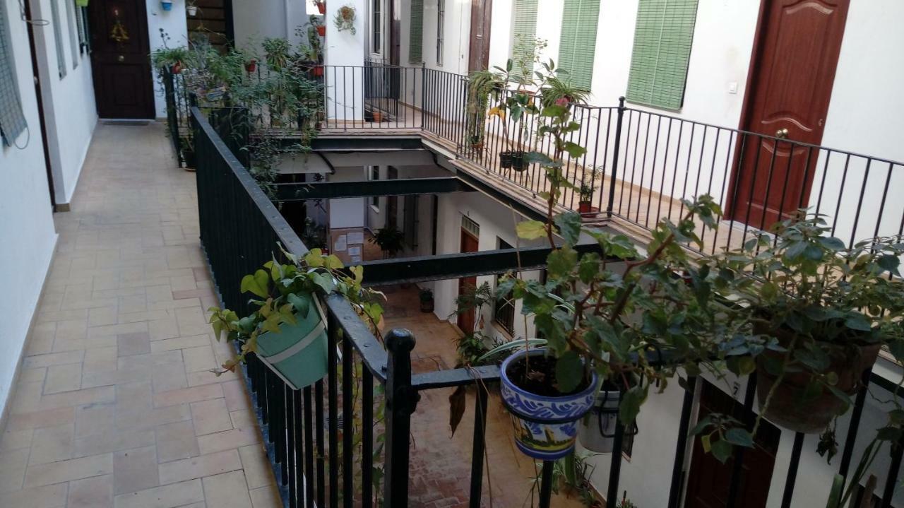 Acogedor En Triana Seville