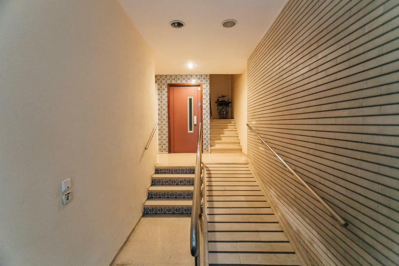 Apartment Wide And Diaphanous- 3bd 2bth- Alcazar