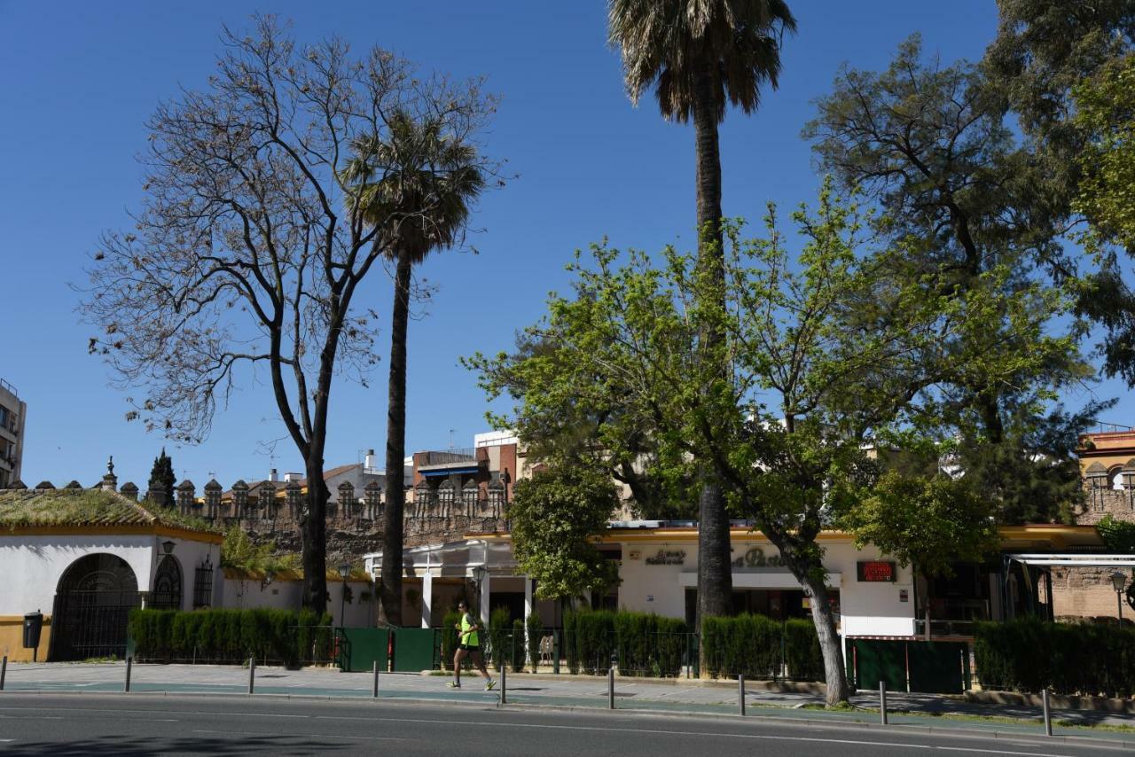 Modern Atico, Close Macarena/sevilla Center Apartment Seville