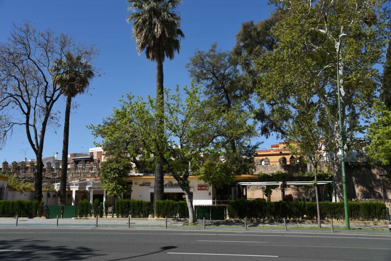 Modern Atico, Close Macarena/sevilla Center