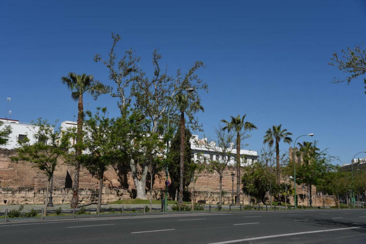 Modern Atico, Close Macarena/sevilla Center Apartment