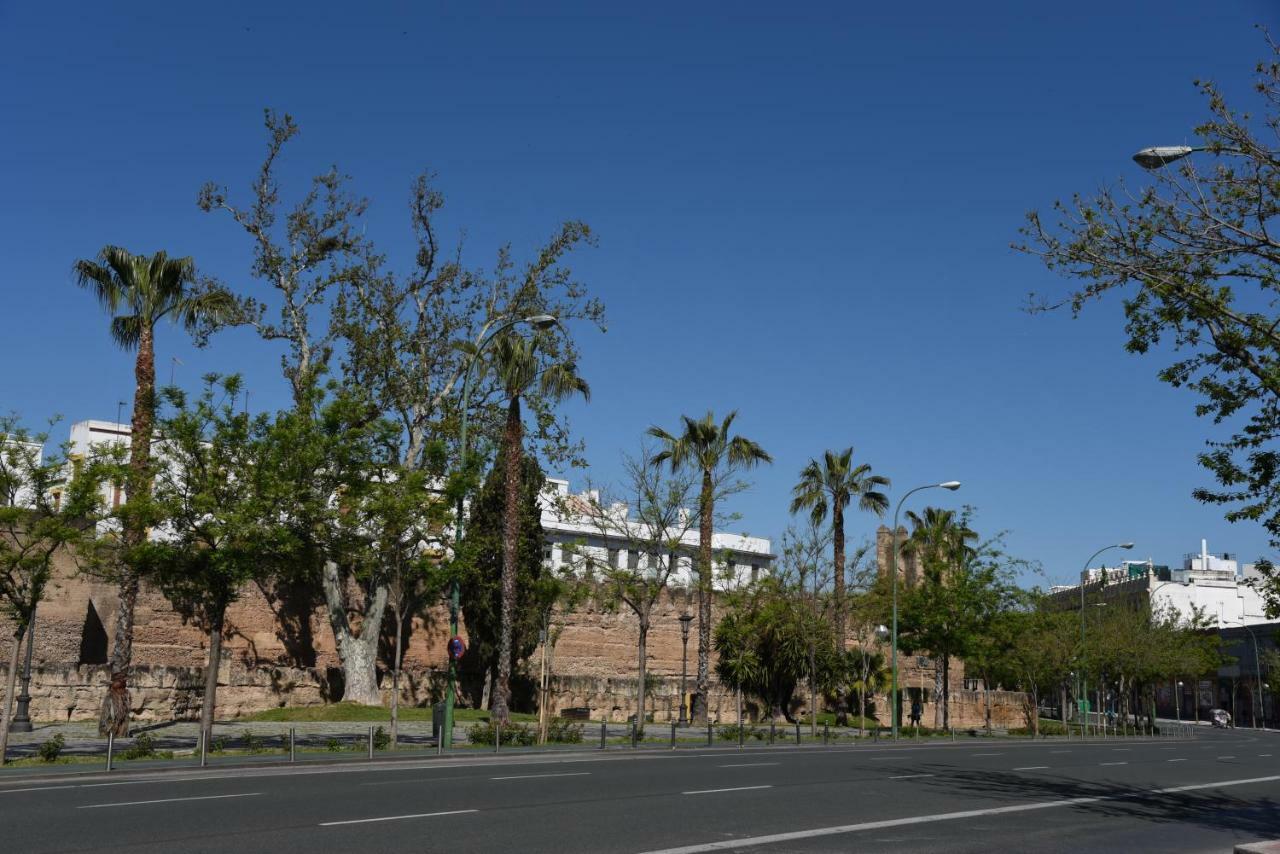 Modern Atico, Close Macarena/sevilla Center * Seville