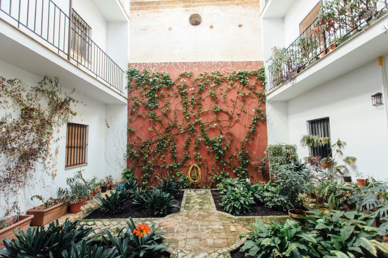 Apartment Cse Cofia