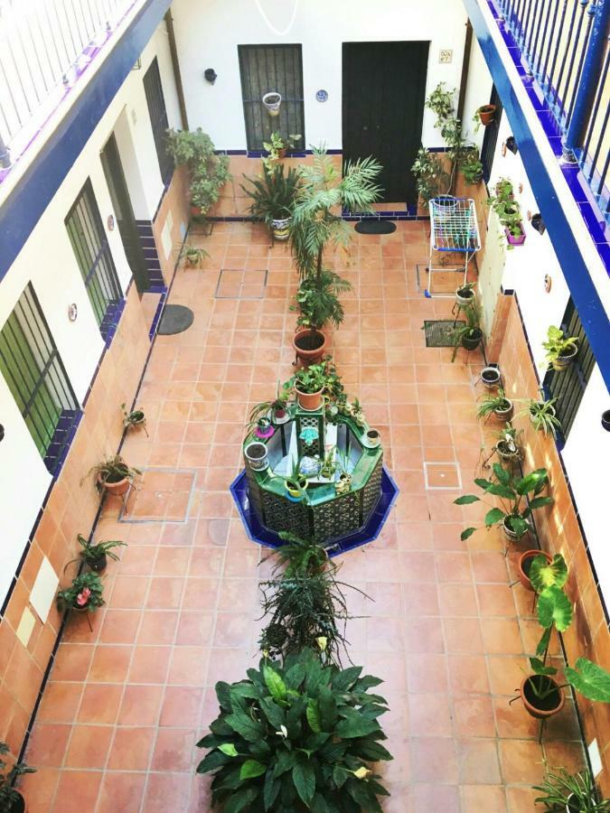 La Rana