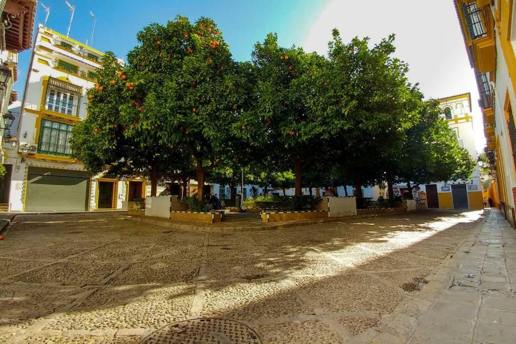 Plaza Elvira Atico- Penthouse Next To Cathedral Seville