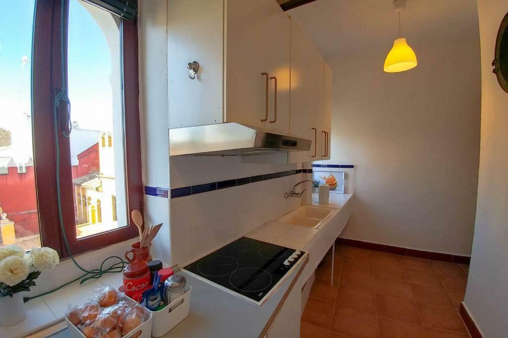 Plaza Elvira Atico- Penthouse Next To Cathedral Seville