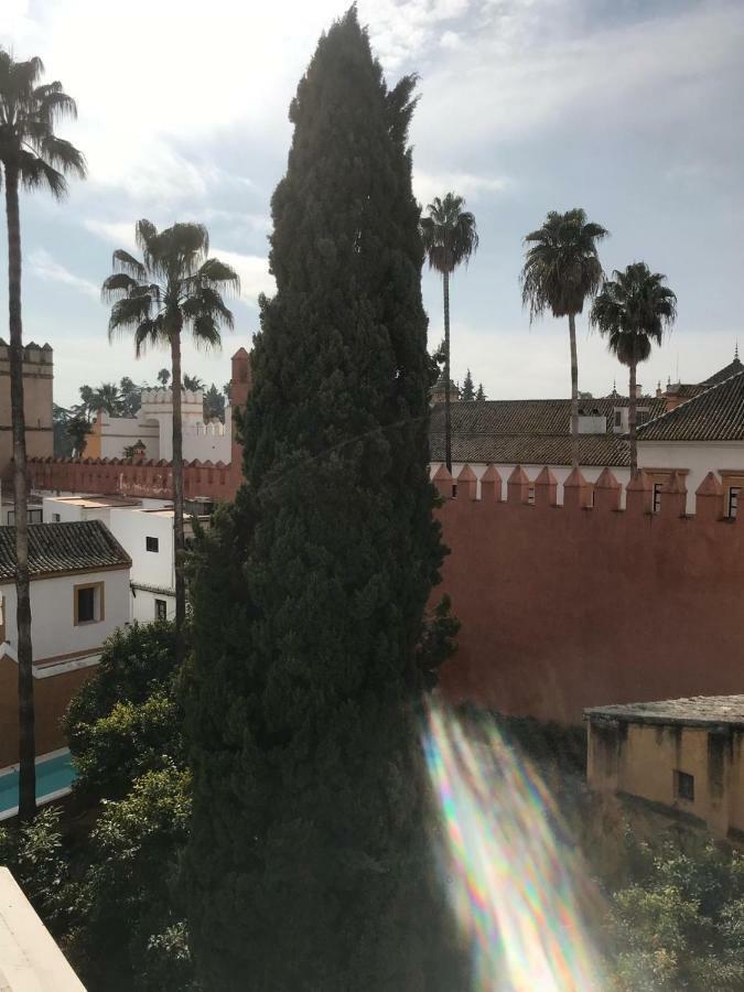 Plaza Elvira Atico- Penthouse Next To Cathedral Apartment