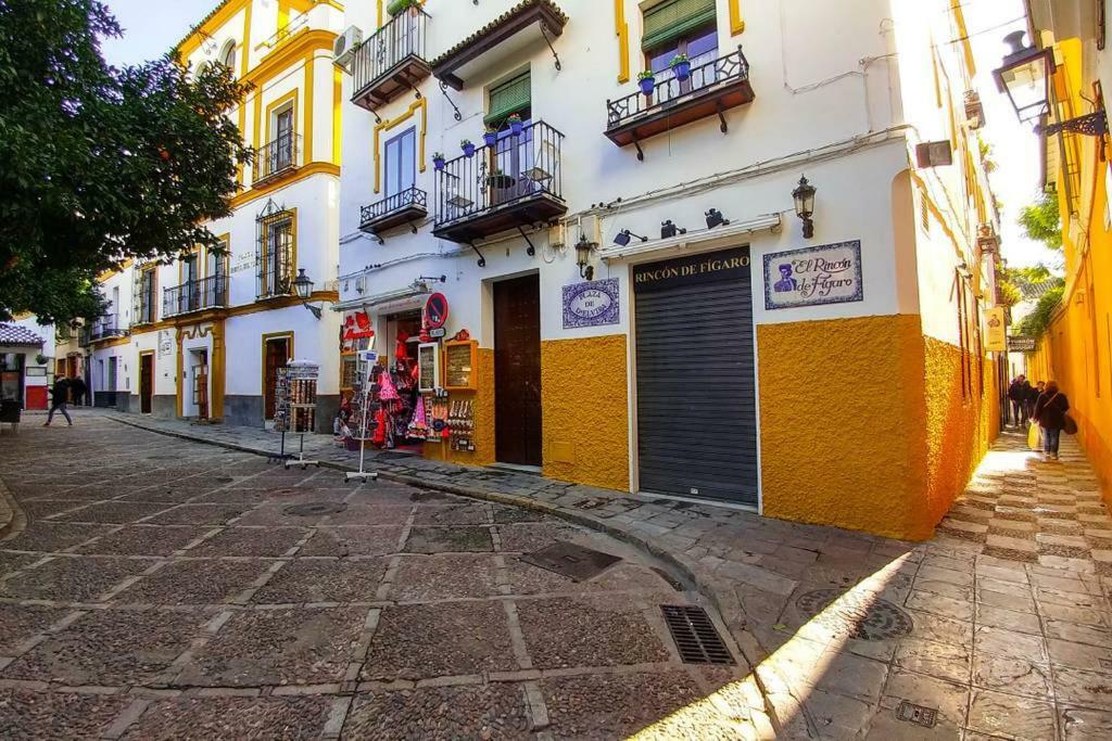 Plaza Elvira Atico- Penthouse Next To Cathedral Apartment *