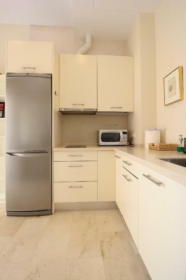 Apartment Centro San Luis *
