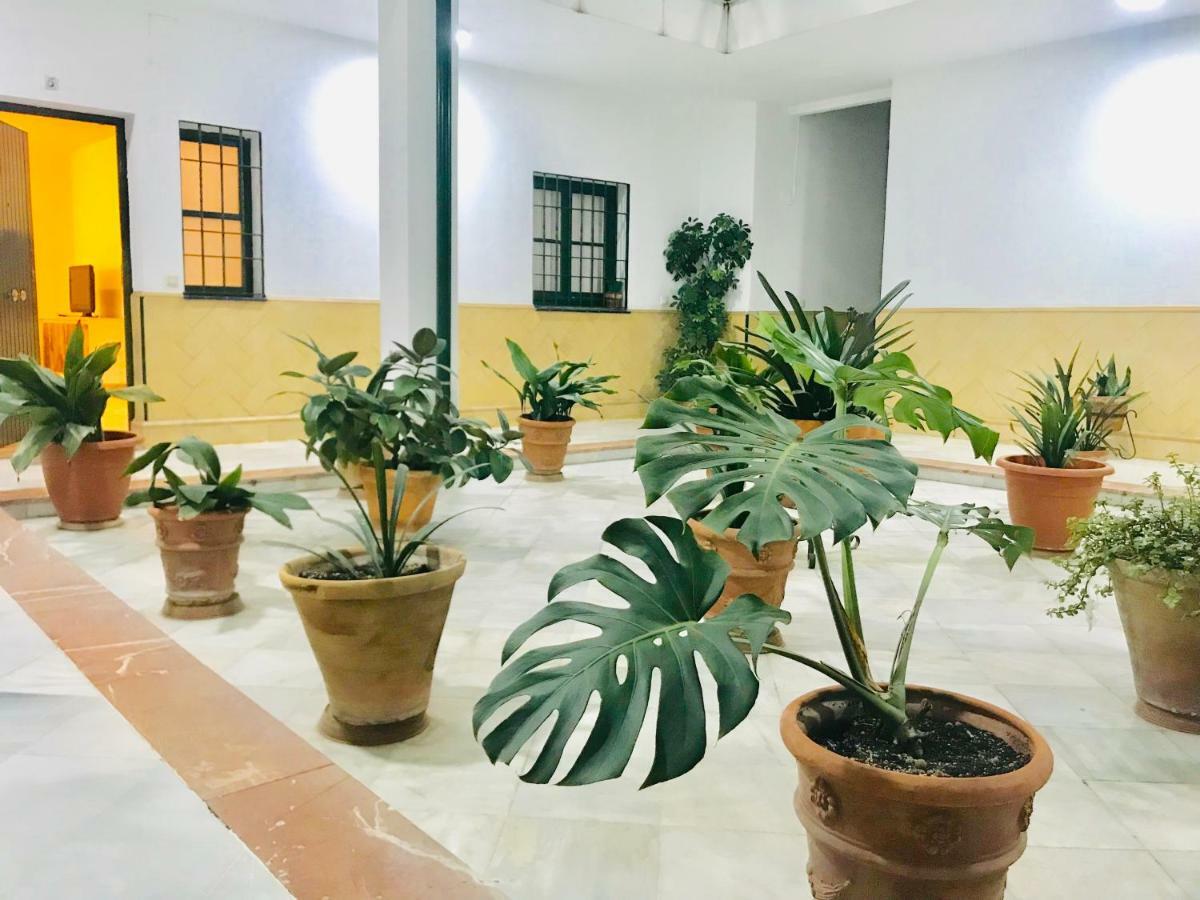Patios De La Juderia