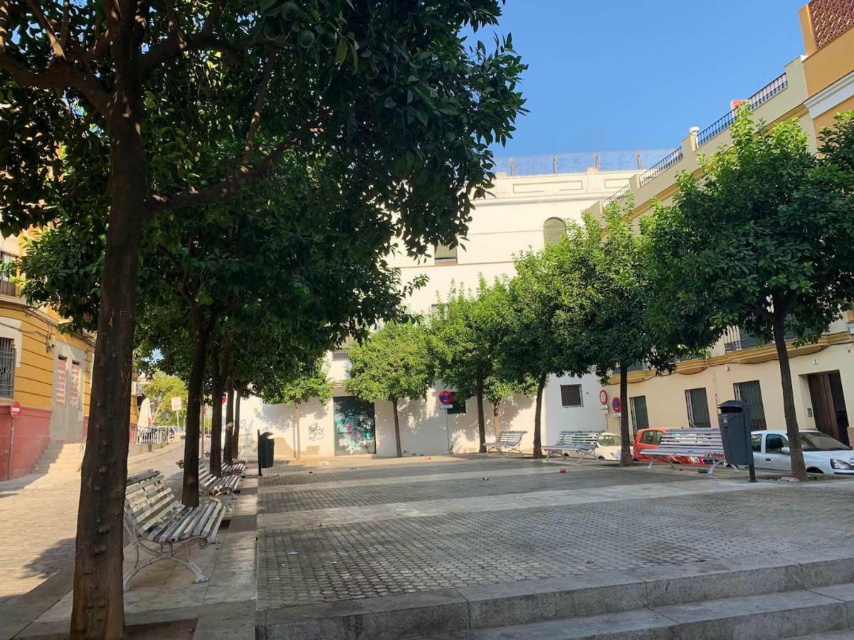 Luz Y Tranquilidad En El Casco Histórico - Parking Gratis Apartamento *