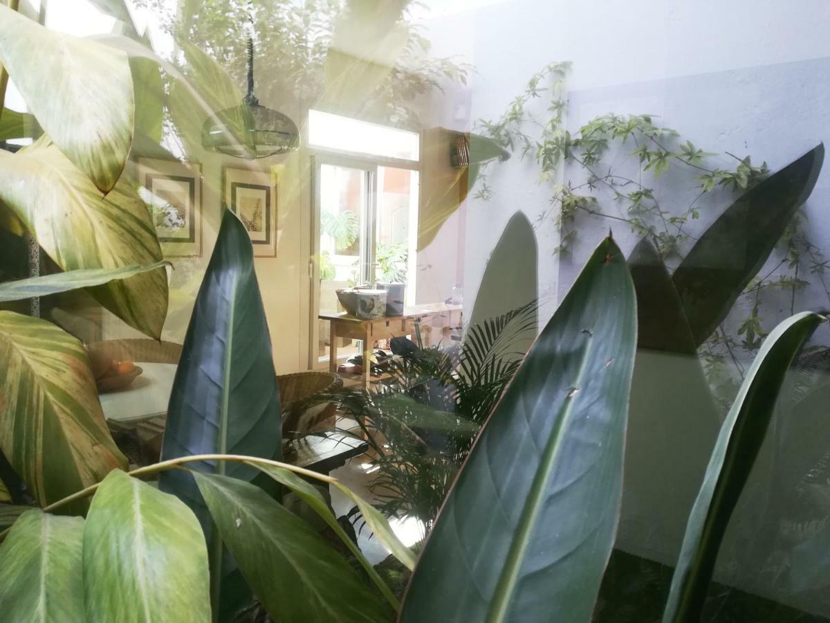 Arte Y Descanso En Seville