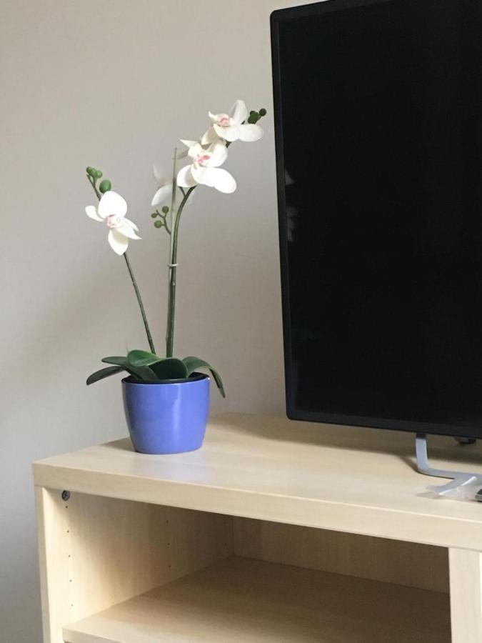 Apartamento Calle Zaragoza 62, *