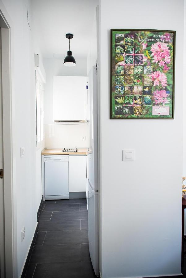 Apartment Tourist House San Luis Seville