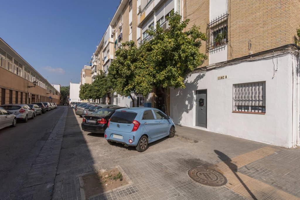 Justino Triana By Valcambre Seville