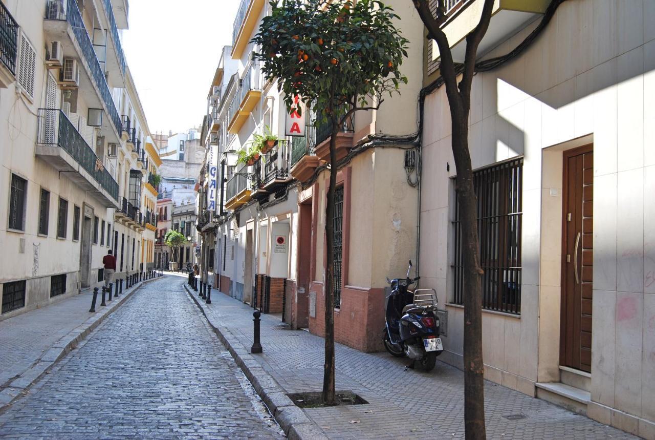 Tourist House Gravina