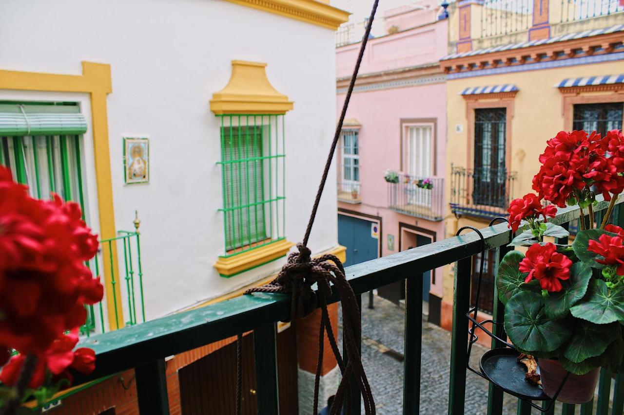 Wish Hiniesta De * Seville