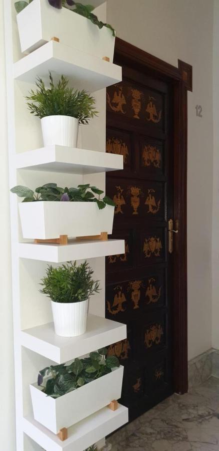 Residencia Viriato Seville