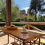 Oasis Aguzaderas