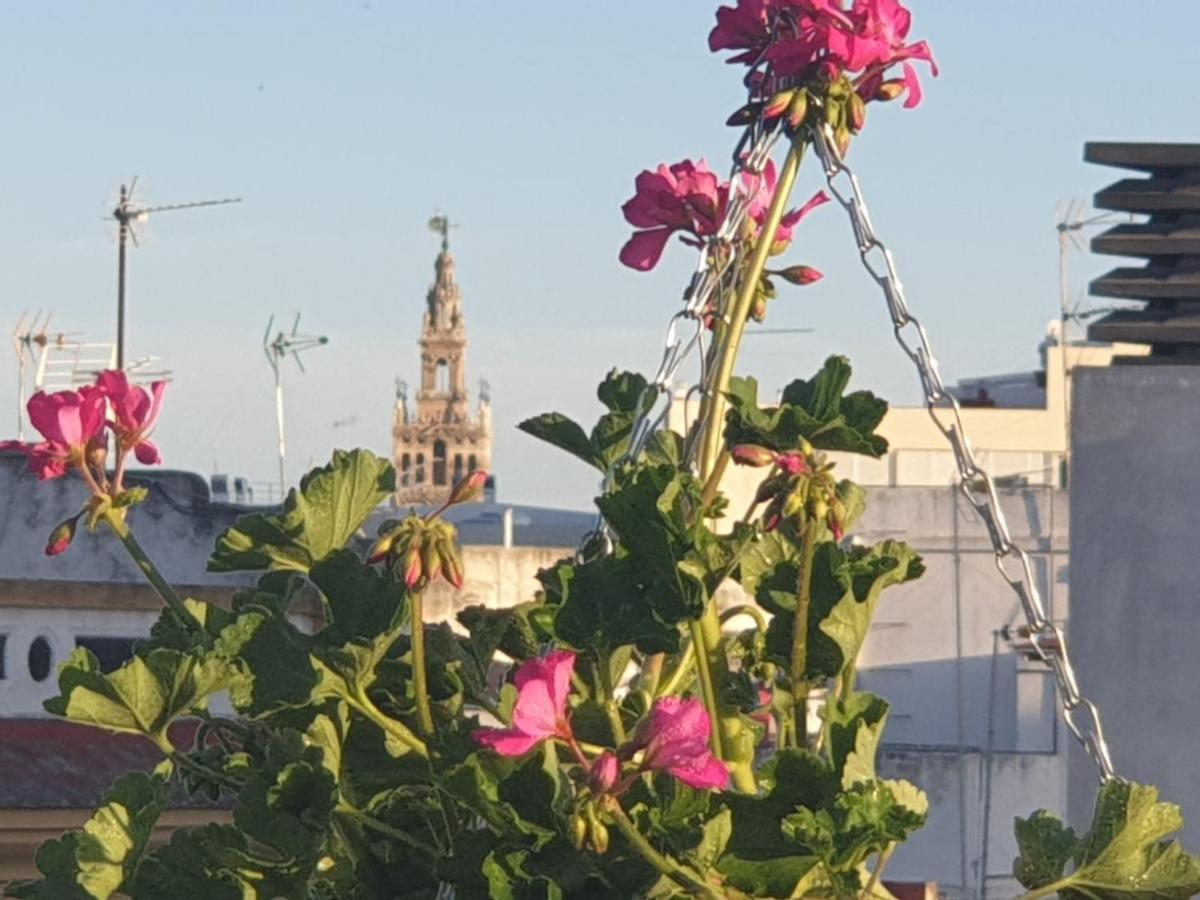 Apartment Dona Lola Corner Seville