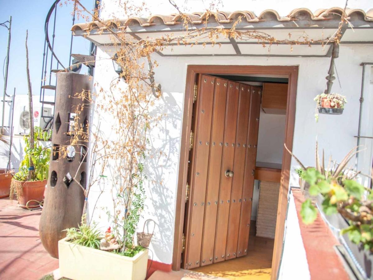Apartment Federico Rubio *